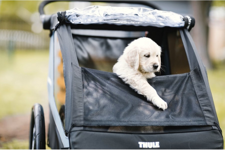 Carrito Thule Coaster XT