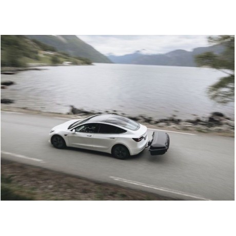 Portaequipaje Thule Arcos M 300L