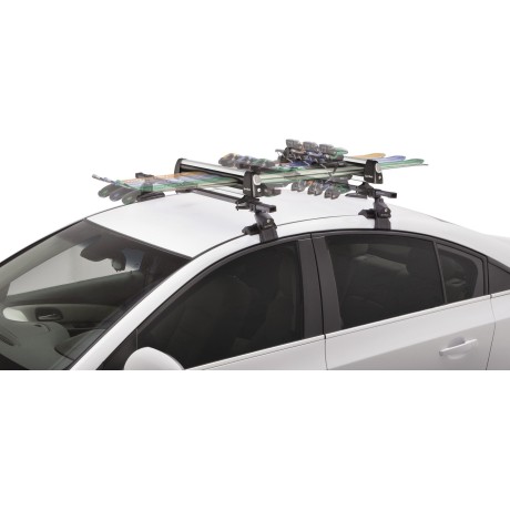 Portaski Sportrack Groomer Deluxe Silver | L