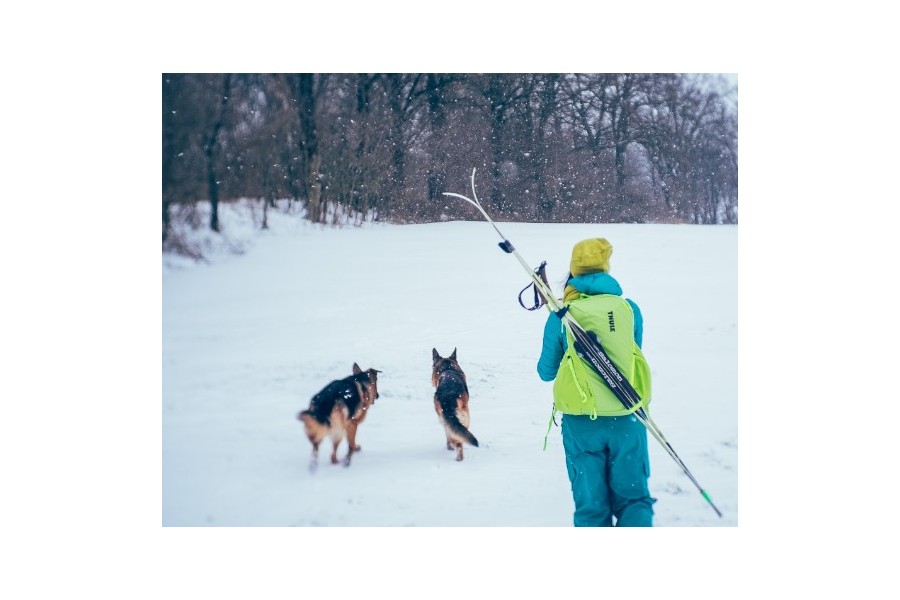 Mochila Ski Thule Upslope R.A.S 25L | Lime Punch