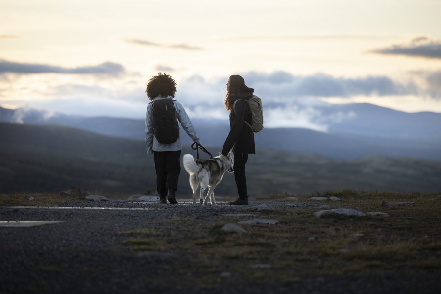 Mochila Thule AllTrail 25L | Pond