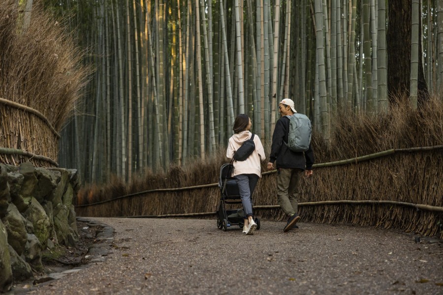 Mochila Notebook Thule Chasm Laptop Backpack 26L | Pond