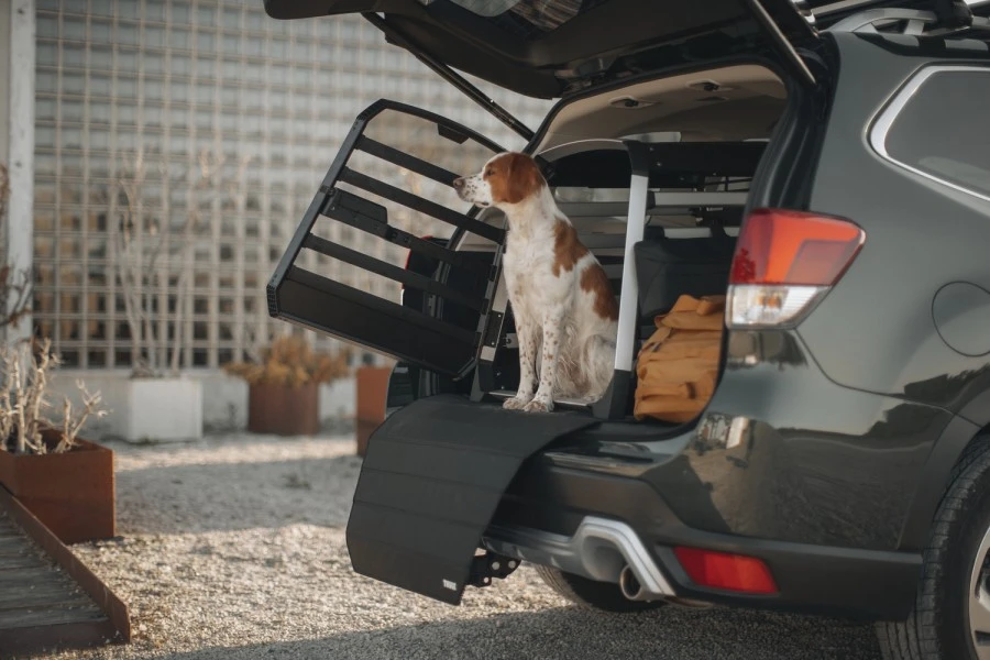 Jaula Thule Allax para Perros | L