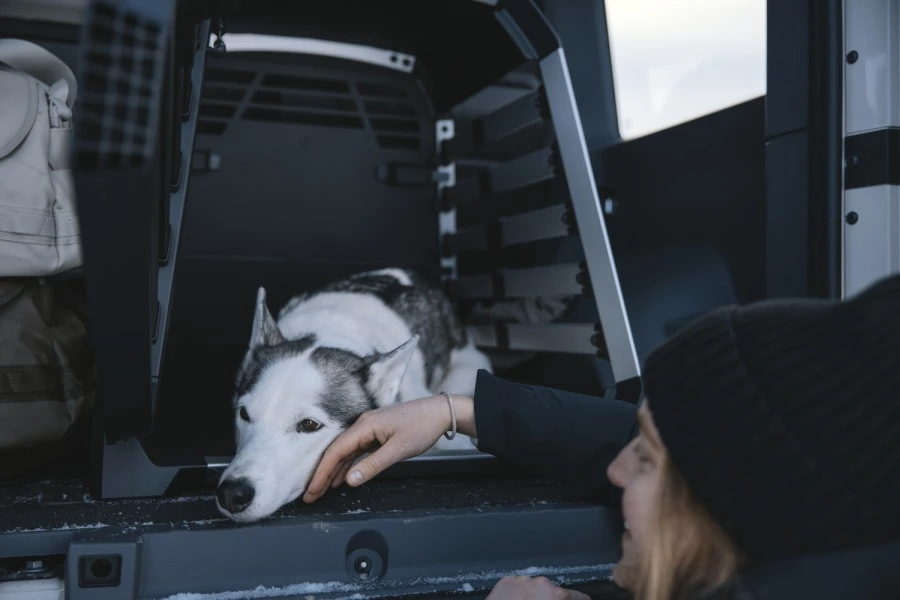 Jaula Thule Allax para Perros | M