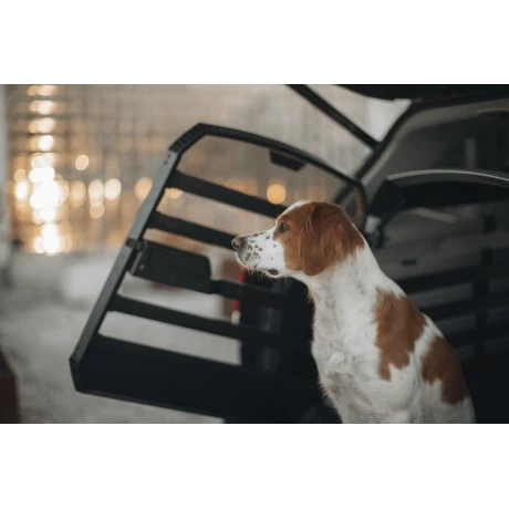 Jaula Thule Allax para Perros | M