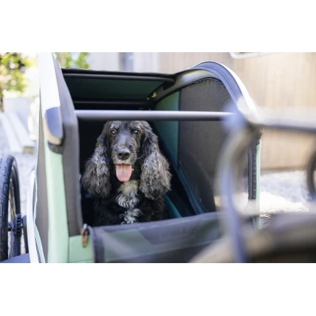Carrito Thule Bexey para Mascotas Hazy Green | M