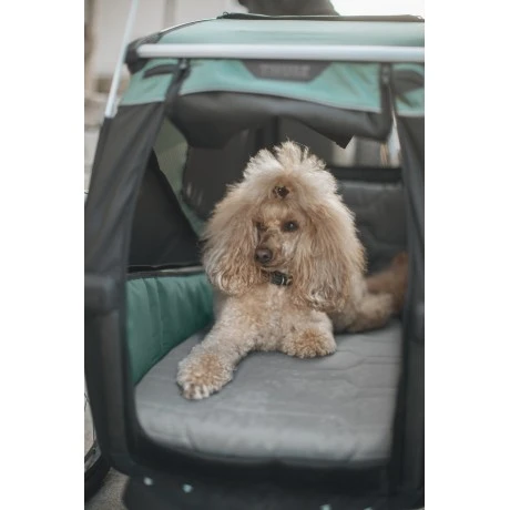 Carrito Thule Bexey para Mascotas Hazy Green | M