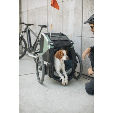 Carrito Thule Bexey para Mascotas Hazy Green | M