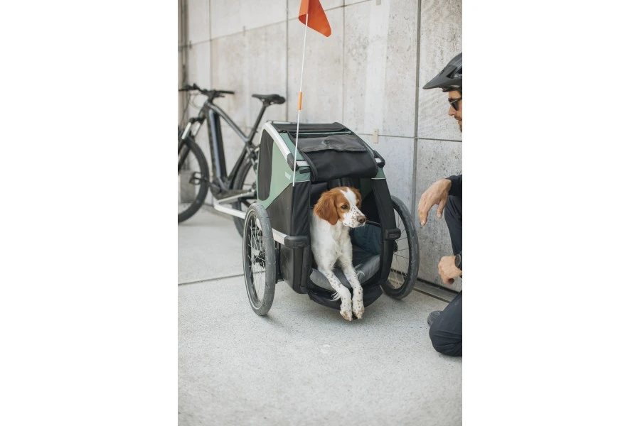 Carrito Thule Bexey para Mascotas Hazy Green | M