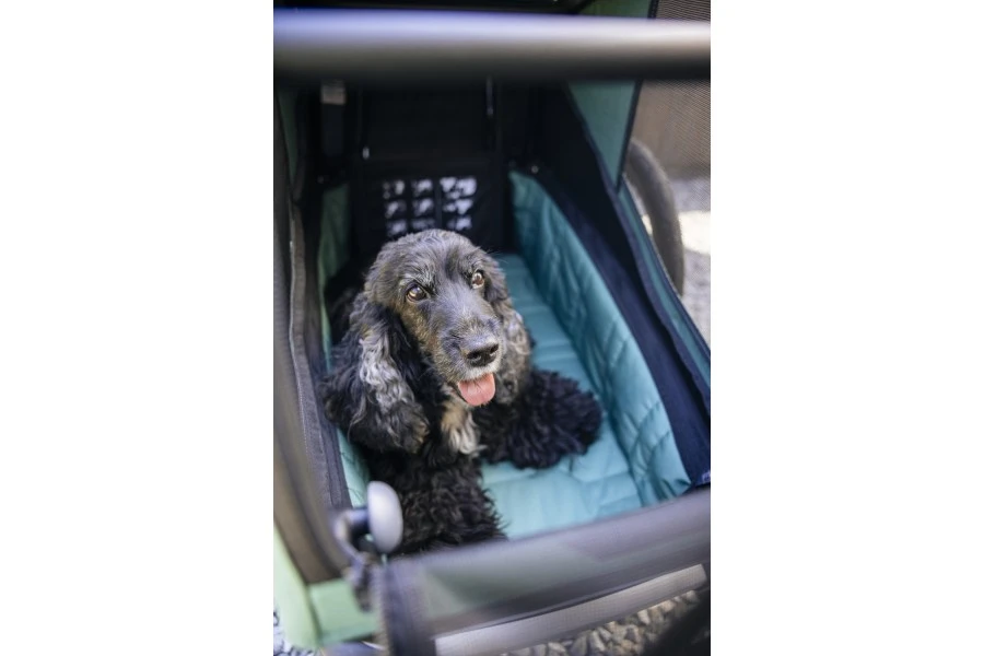 Carrito Thule Bexey para Mascotas Hazy Green | L