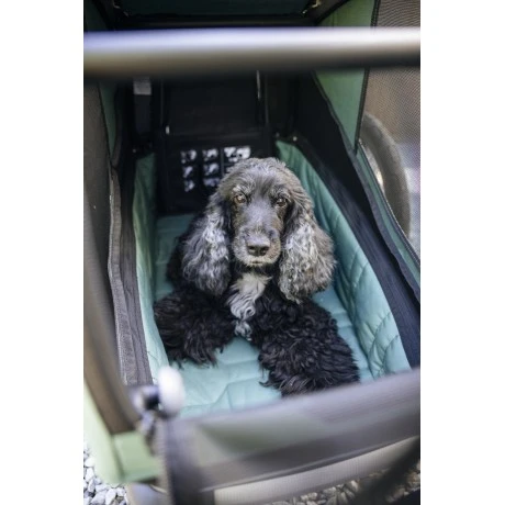 Carrito Thule Bexey para Mascotas Hazy Green | L