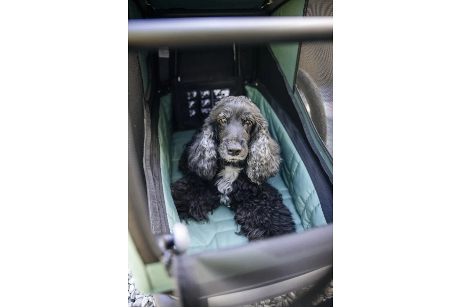 Carrito Thule Bexey para Mascotas Hazy Green | L