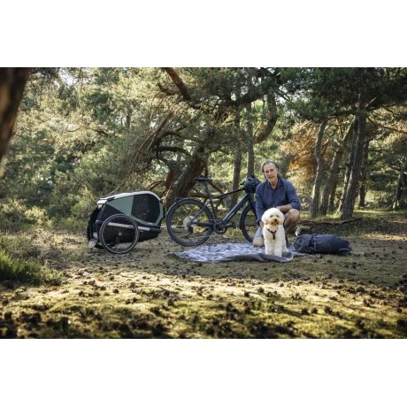 Carrito Thule Bexey para Mascotas Hazy Green | L