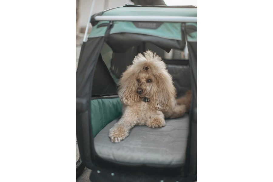 Carrito Thule Bexey para Mascotas Hazy Green | L