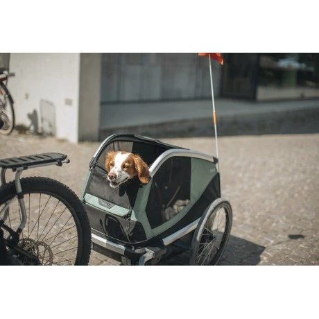 Carrito Thule Bexey para Mascotas Hazy Green | L