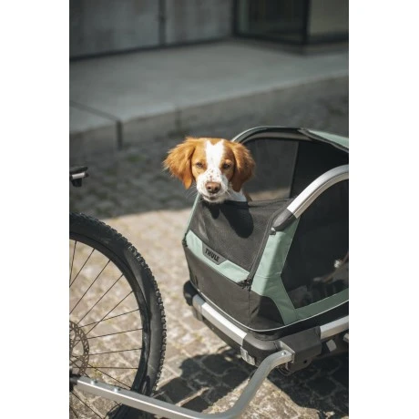 Carrito Thule Bexey para Mascotas Hazy Green | L