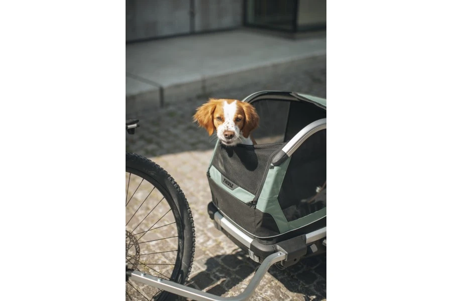 Carrito Thule Bexey para Mascotas Hazy Green | L