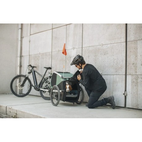 Carrito Thule Bexey para Mascotas Hazy Green | L