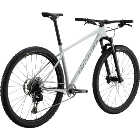 Bicicleta Specialized Chisel Hardtail Gloss Dove Grey / Ashen | L