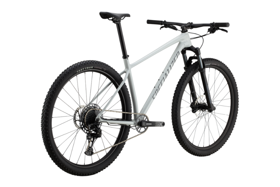 Bicicleta Specialized Chisel Hardtail Gloss Dove Grey / Ashen | L