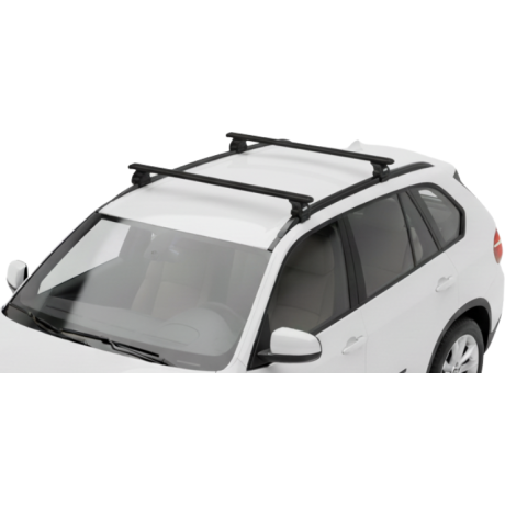 Barras THULE EVO WingBar para autos BMW X5 2007 a 2013 negro