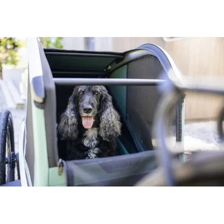 Thule Bexey para Mascotas Hazy Green M + Kit Strolling