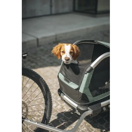 Thule Bexey para Mascotas Hazy Green M + Kit Strolling