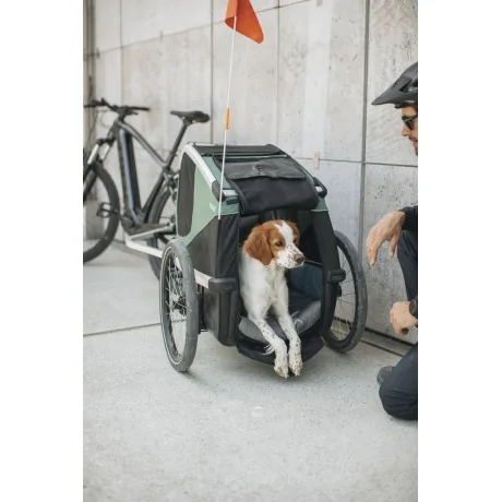 Thule Bexey para Mascotas Hazy Green M + Kit Strolling