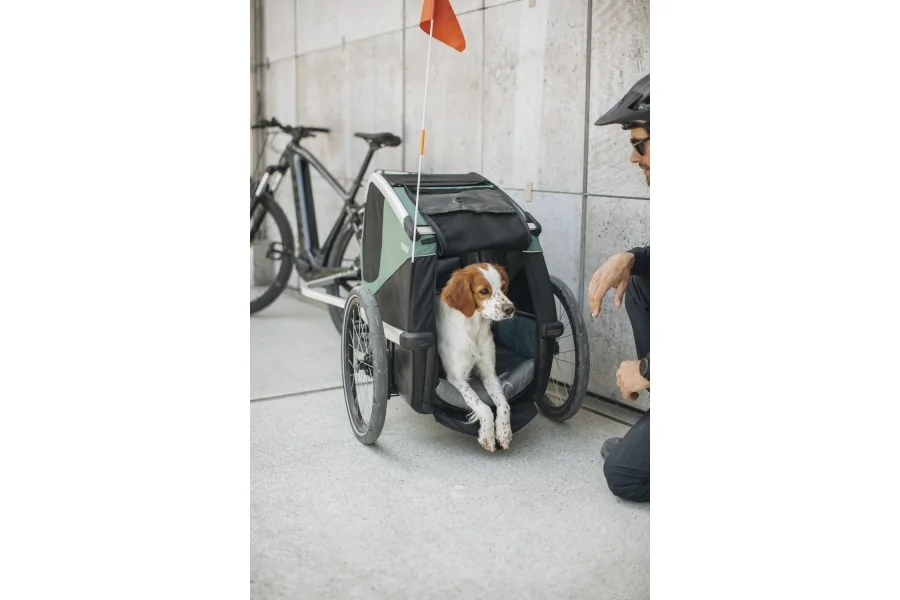 Thule Bexey para Mascotas Hazy Green M + Kit Strolling