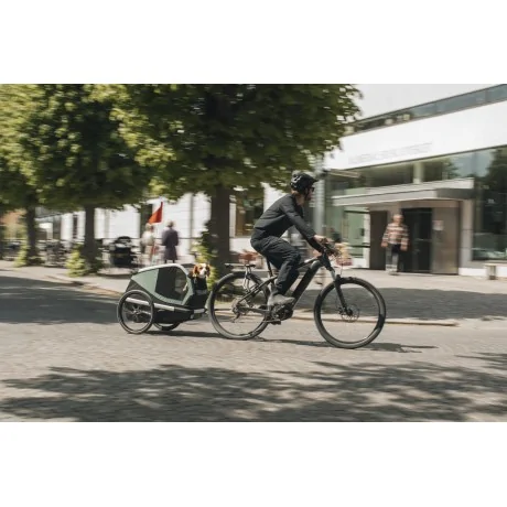 Thule Bexey para Mascotas Hazy Green M + Kit Strolling