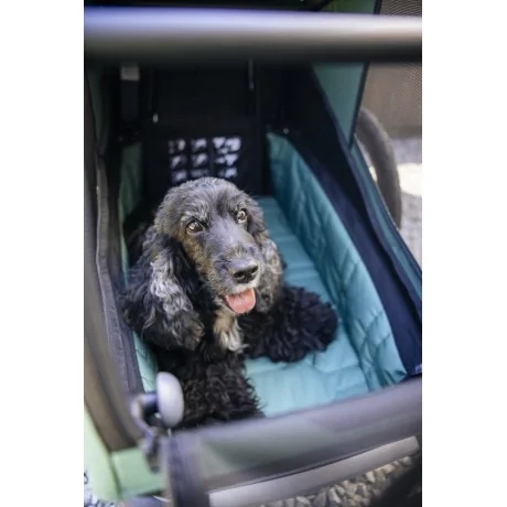 Thule Bexey para Mascotas Hazy Green L + Kit Strolling