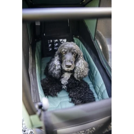 Thule Bexey para Mascotas Hazy Green L + Kit Strolling