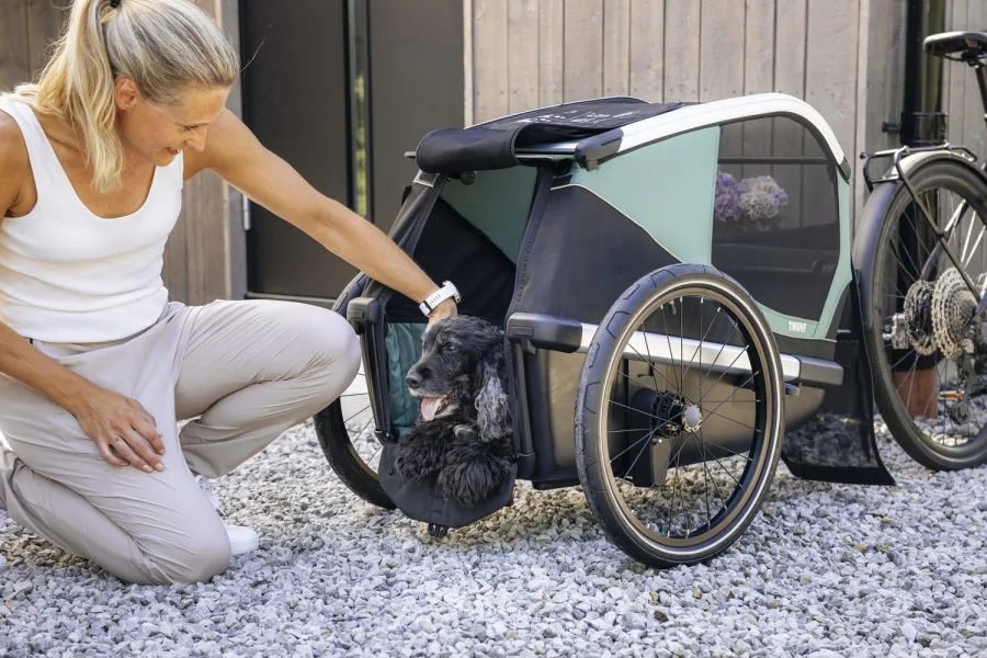 Thule Bexey para Mascotas Hazy Green L + Kit Strolling