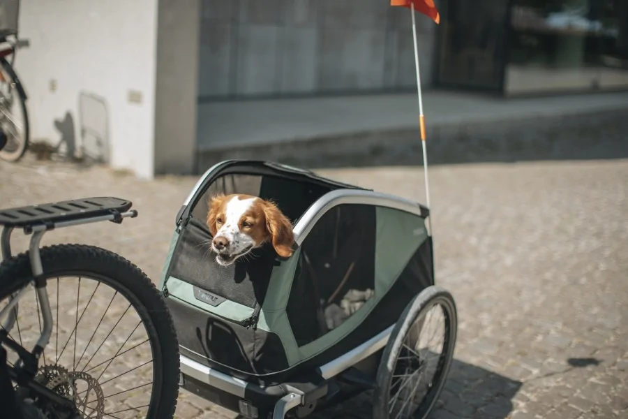 Thule Bexey para Mascotas Hazy Green L + Kit Strolling