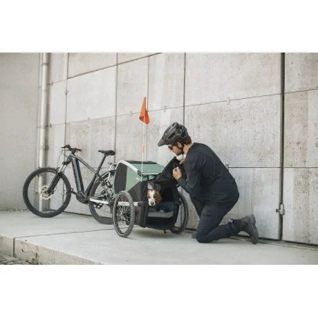 Thule Bexey para Mascotas Hazy Green L + Kit Strolling