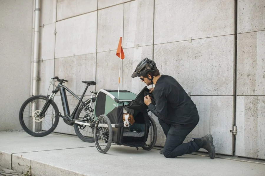 Thule Bexey para Mascotas Hazy Green L + Kit Strolling