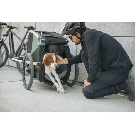 Thule Bexey para Mascotas Hazy Green L + Kit Strolling