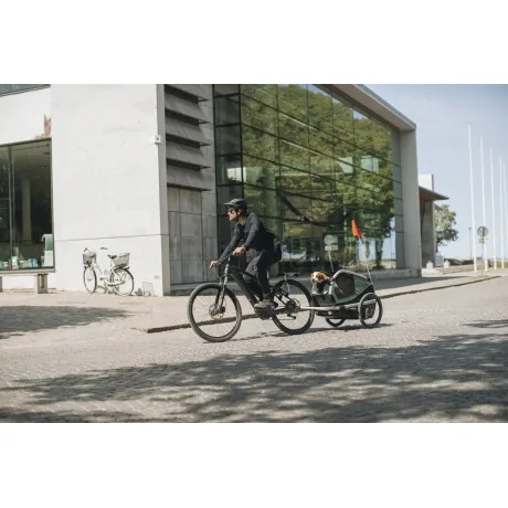 Thule Bexey para Mascotas Hazy Green L + Kit Strolling