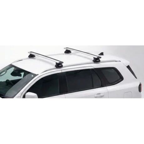 Barras THULE EVO WingBar para autos FORD Everest desde 2022